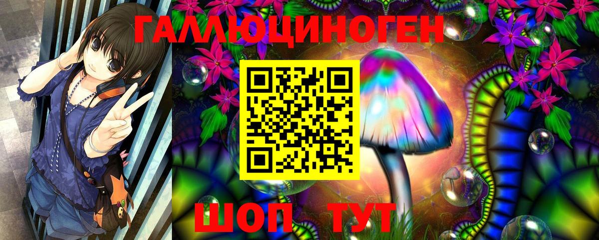 Галлюциногенные грибы прущие грибы Чистополь